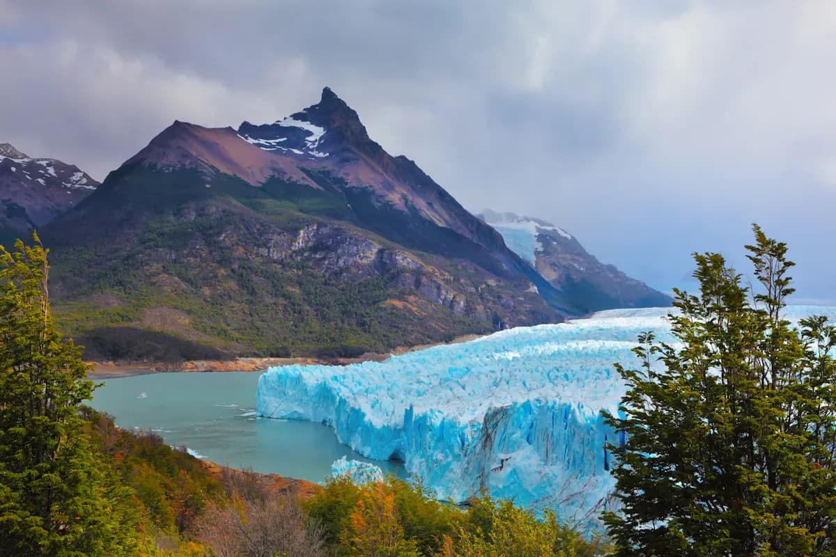 El Calafate: Gateway to Patagonia’s Glaciers 