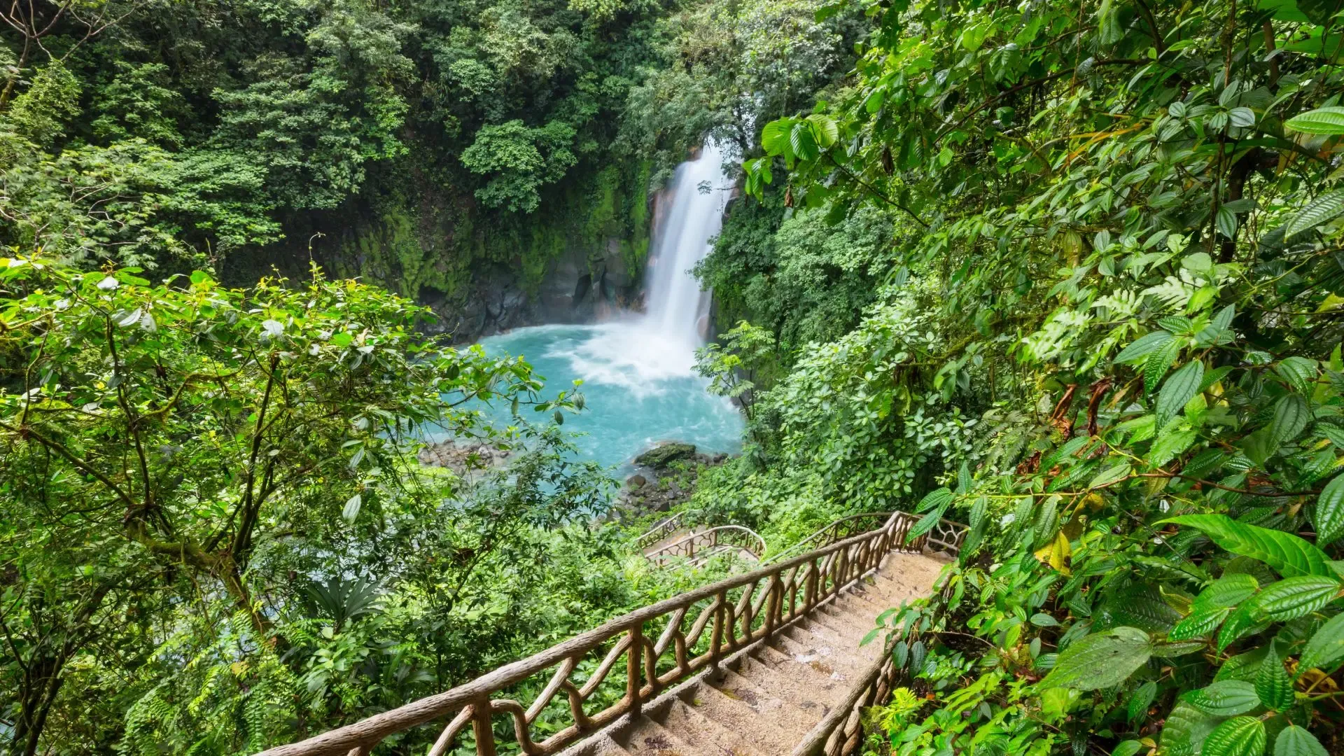 Cascada Costa Rica.webp