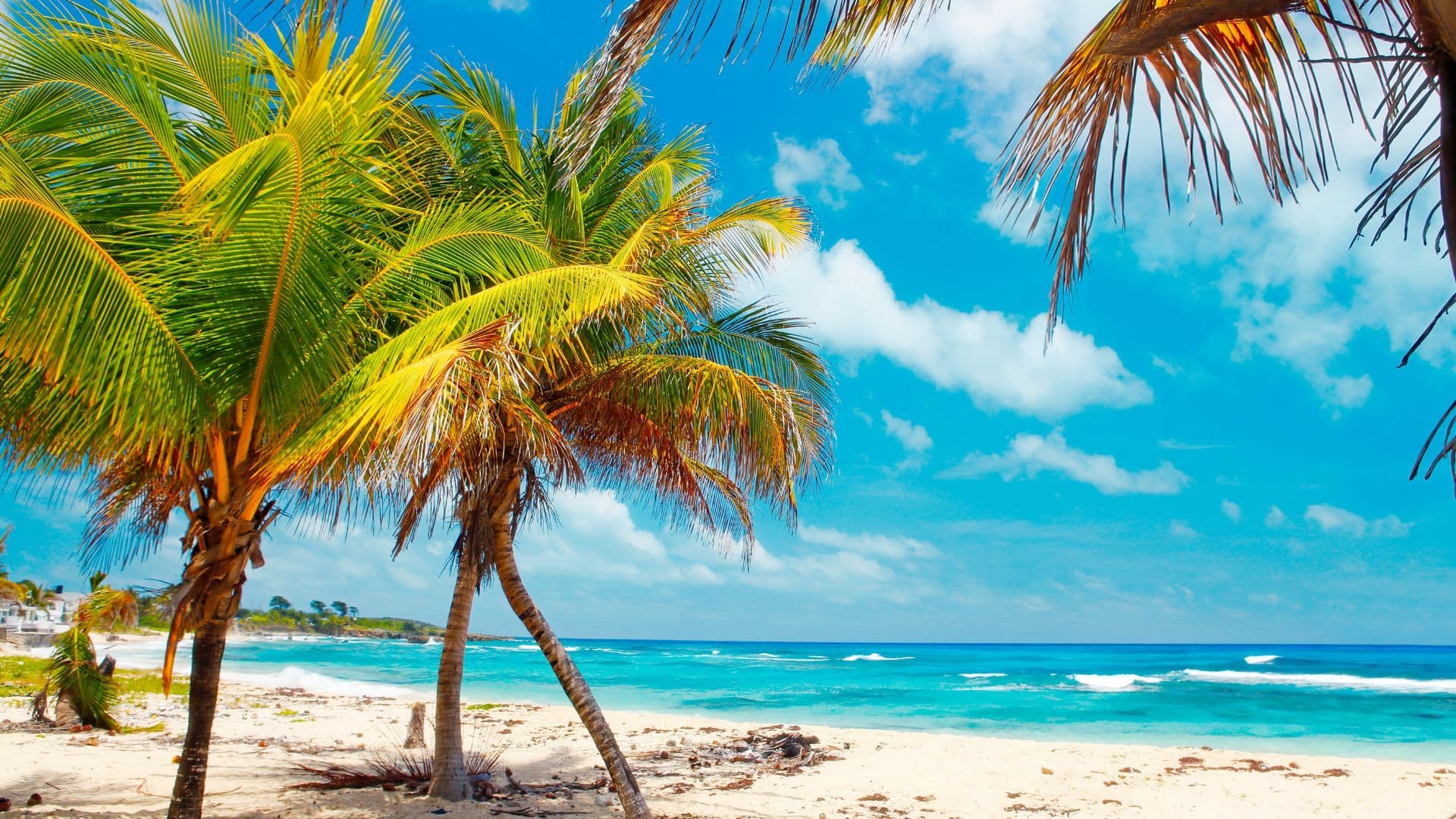 5-imperdibles-jamaica