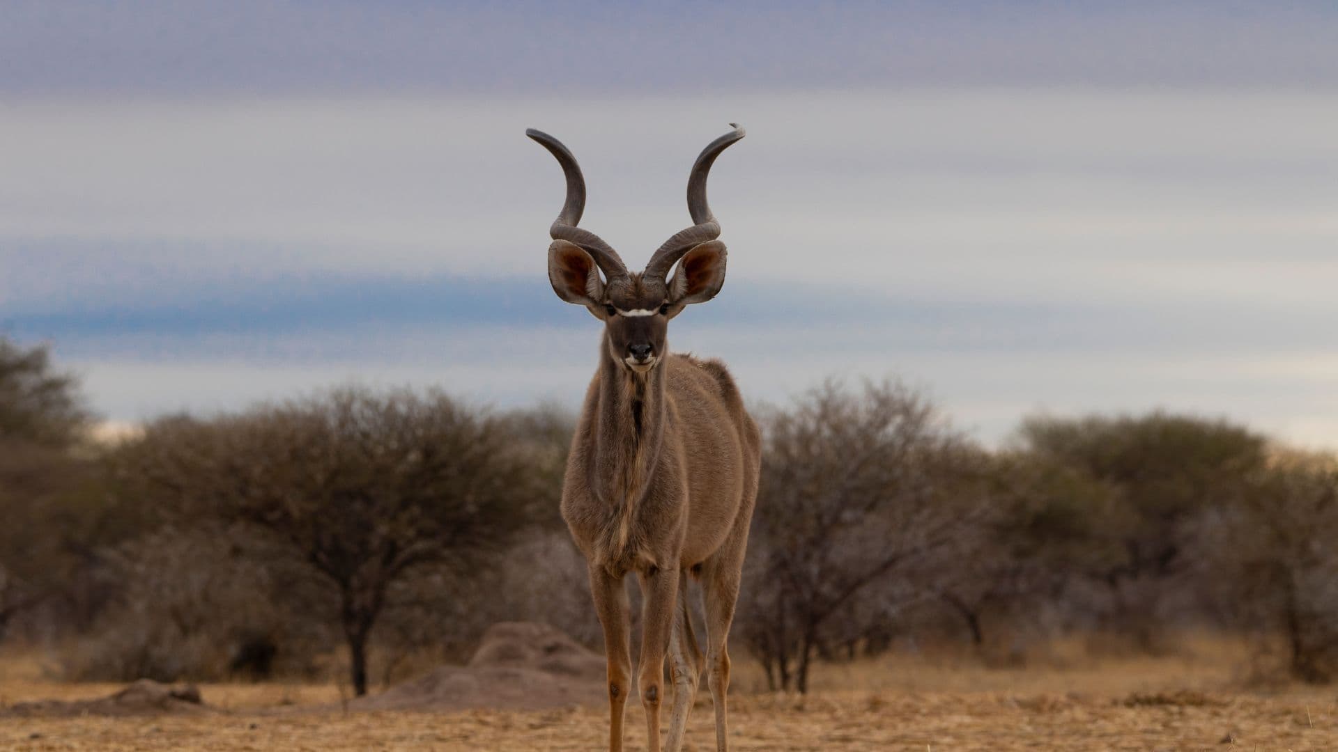 Escapada a Sudafrica