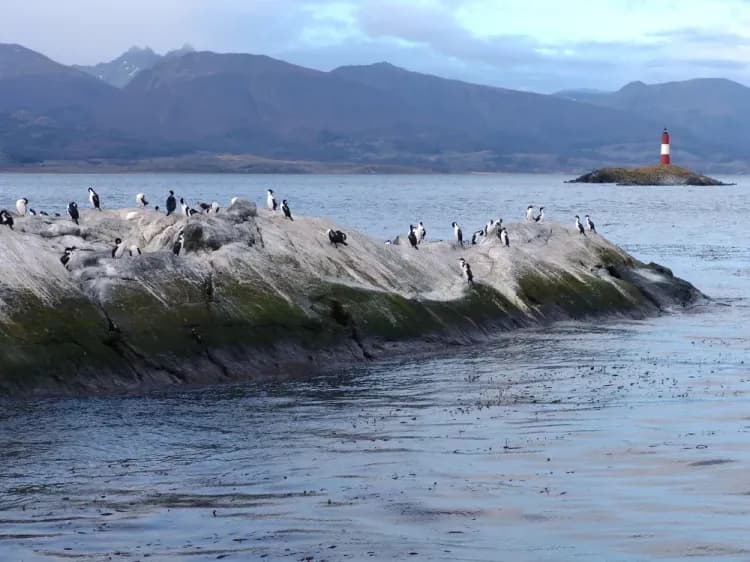 Patagonia from the End of the World to the Glaciers